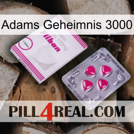 Adams Secret 3000 32